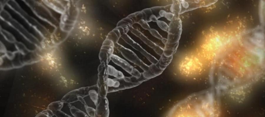 An image of dna photo