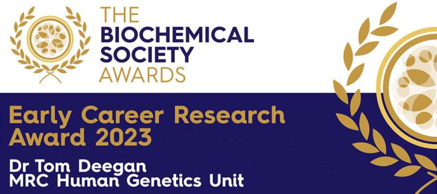 Early career research award 2023